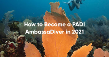 PADI Ambassadiver