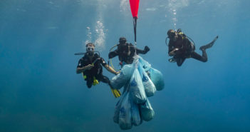 Deep Blue Dive Center Clean Up