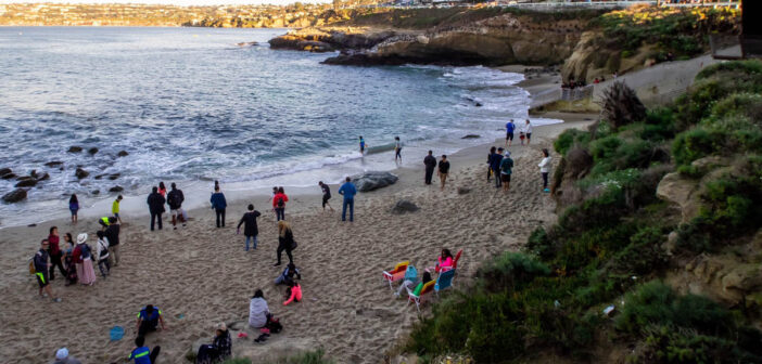 La Jolla Cove