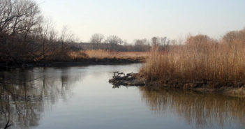 Ontario Wetlands