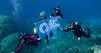 World’s Largest Dive Community Joins Forces to Protect the Gre