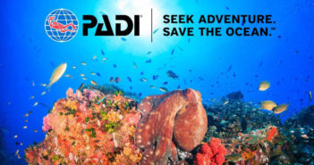 PADI Dive Guides