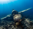 Palau Scuba Diving