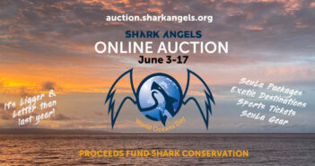 Shark Angels Auction Jun 2023